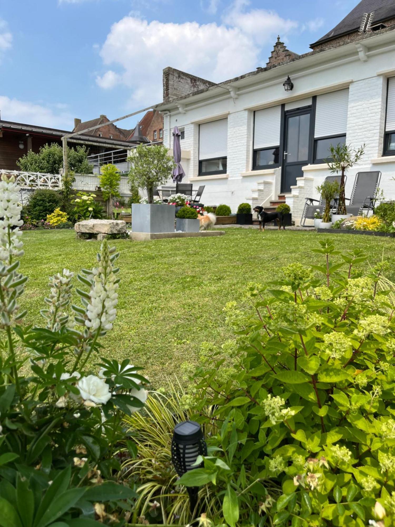 Le Petit Paradis กาสเซล ภายนอก รูปภาพ